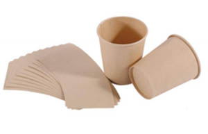 bamboo paper